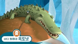 바다 탐험대 옥토넛 - 성격 고약한 악어 - 모음집