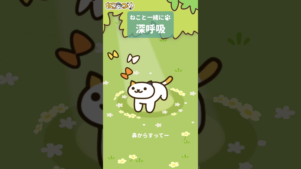 ねこあつめ ねこといっしょ①「深呼吸」 #shorts #ねこあつめ