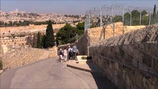 Entry into Jerusalem - trip to Holy Land 2018