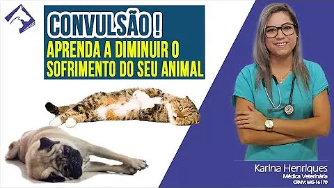 O que pode causar convulsão em cães?