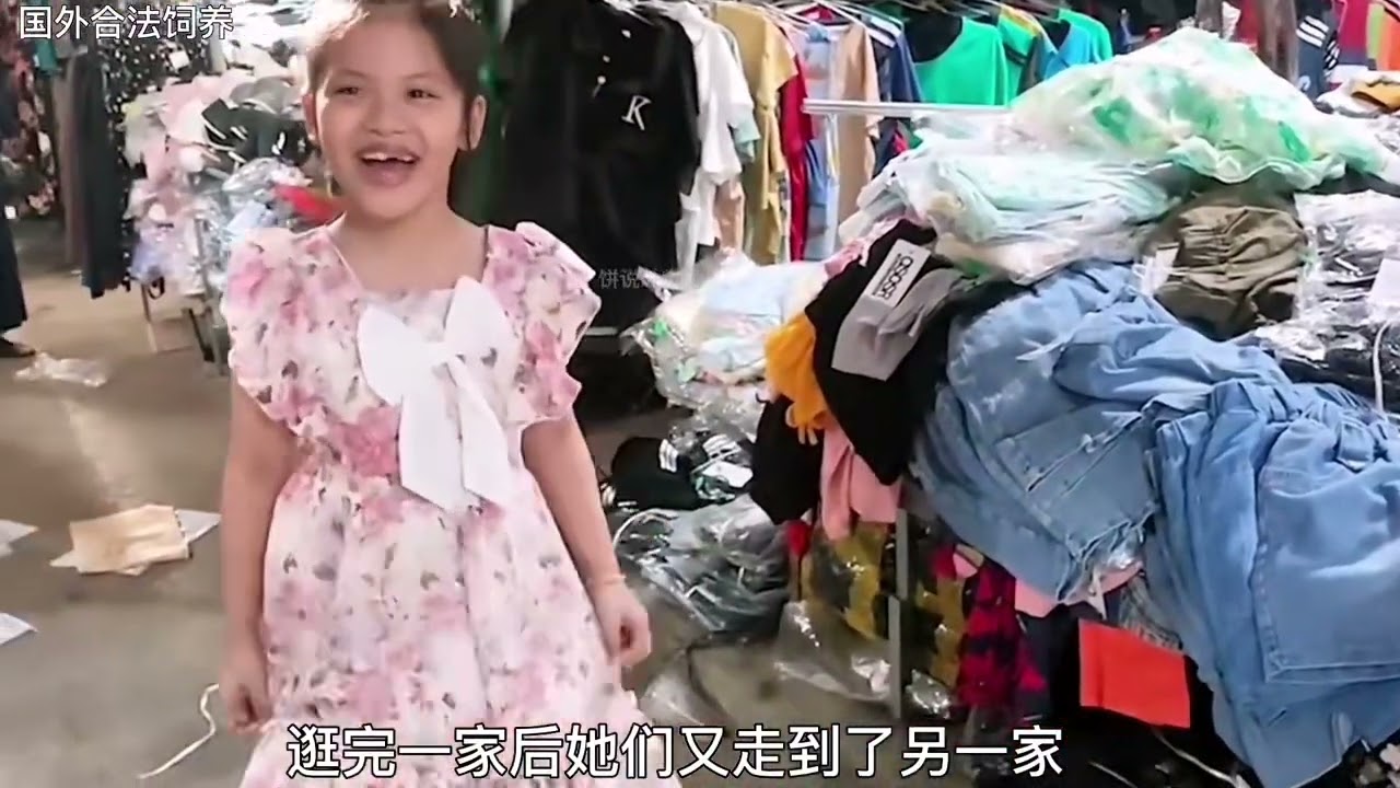 "Adorable Monkey Kids Joking Around 