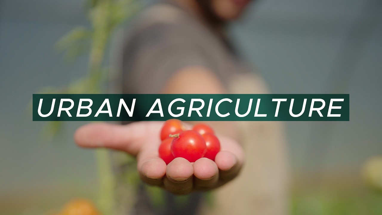 Growing good food in Detroit