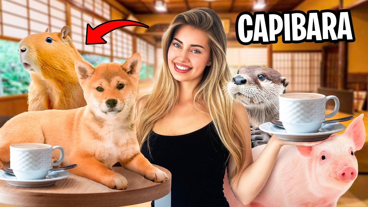 VISITANDO CAFETERÍAS con ANIMALES RAROS en Japón
