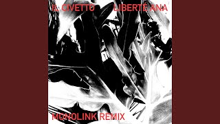 Liberté Ana (Monolink Remix)