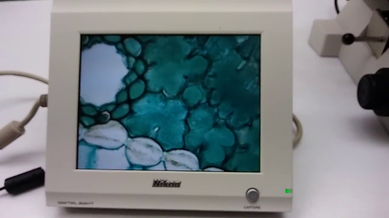 Nikon Digital Sight DS-L2 デジタルモニター本体　訳あり hq720.jpg?sqp=-