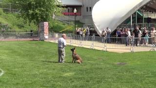 Akron Police - 3rd Annual K9 Challenge - Thunder