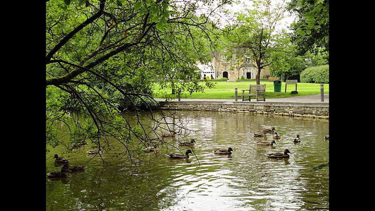 1 hour relaxing evening at the pond sounds for meditation and mindfulness