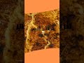 yummy cooking recipes 😋#shorts‎ |وصفات طبخ لذيذة