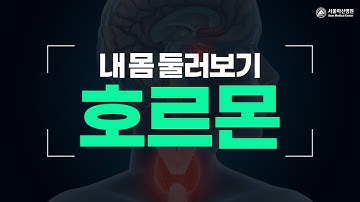 호르몬 [내 몸 둘러보기]