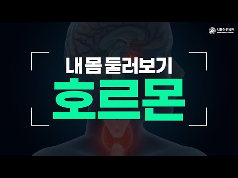 호르몬 [내 몸 둘러보기]