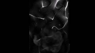 vector field