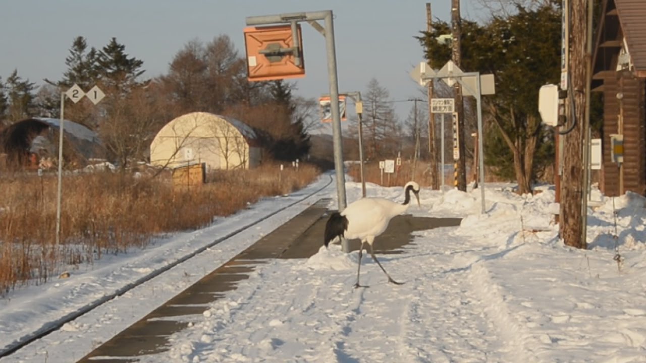 ヌルむ@断捨離中 北海道分送料込み S♢967 無印良品 ヌルむ@断捨離中