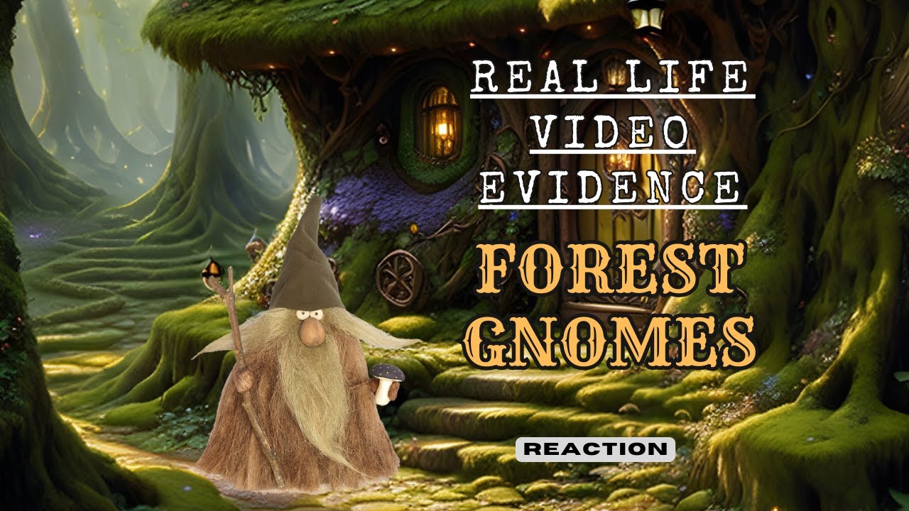 Real Life Evidence Meaning