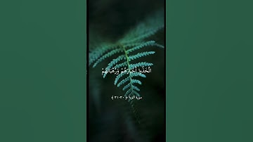 ماهر المعيقلي سورة التوبة تلاوة خاشعة حالات واتس اب قرآن كريم