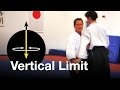 Aikido: "Vertical Limit". Christian Tissier Shihan