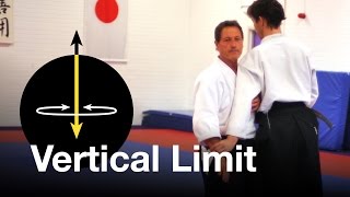 Aikido: "Vertical Limit". Christian Tissier Shihan