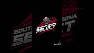 Transform your designs into stunning Vector art for Screenprinting and Sublimations. #trending #usa