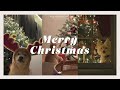 Playlist 모두 메리크리스마스멍냥 다가오는 크리스마스를 기다리며 듣는 캐롤 플리 Christmas Carol Playlist 중간광고없음 매장음악 카페음악 Playlist 모두 메리크리스마스멍냥 다가오는 크리스마스를 기다리며 듣는 캐롤 플리 Christmas Carol Playlist 중간광고없음 매장음악 카페음악