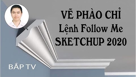 VẼ PHÀO CHỈ, DỰNG HÌNH 3D , DÙNG LỆNH FOLLOW ME TRONG SKETCHUP 2020