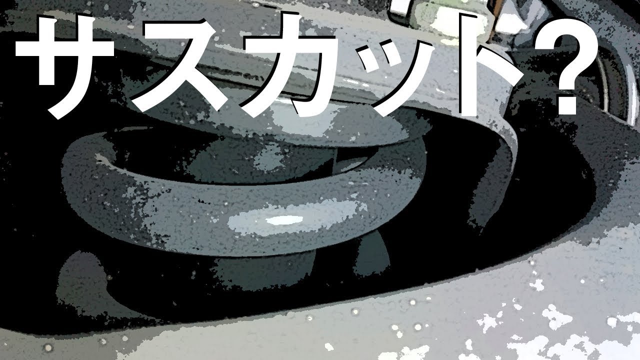 サスカットってどうなの Youtube