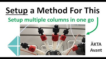 Setup For Selection of Ion Exchange Medias Using A Unicorn Method on the AKTA Avant.