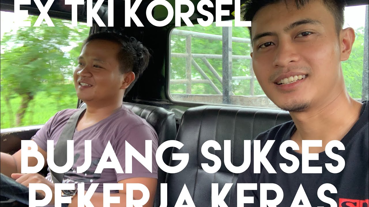 Ikut BOZ AYAM BELI BATU BARA (ex tki korea sukses ternak ayam) 