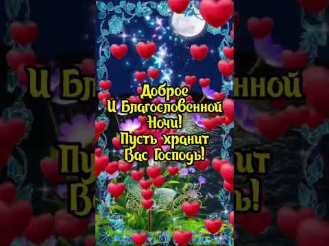 Спокойной ночи 🌹 #длявас #доброеутро #сладкихснов #спокойнойночи