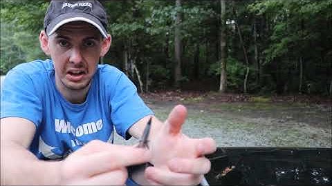 Broadhead test - G5 Fixed vs NAP killzone mechanical