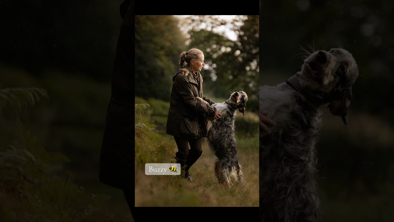 Taking a Few Dog Photos On The Dog Using Canon R6 Mark ii - YouTube