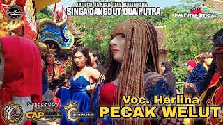 PECAK WELUT - VOC. HERLINA | SINGA DANGDUT DUA PUTRA | SHOW MEKARJATI Gg DOMBA HAURGELIS