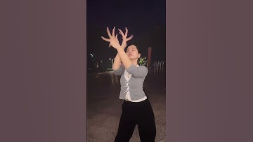 Thumbnail of Love Like a Gust of Wind Finger Tutting   Fengbao's Northeast Dialect Dance Cover