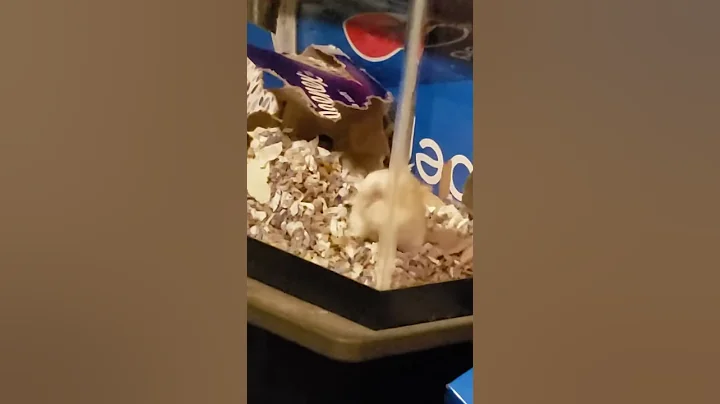 Dig a tunnel dig dig a tunnel...