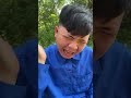 You Won’t Believe These White Flies in My Ear!