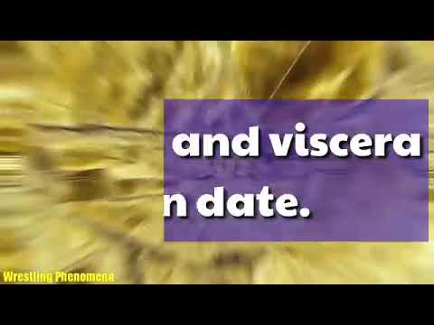 Top 10 Funniest OMG Moments Of Viscera In WWE Viscera Kisses Trish Stratus Candice Michelle