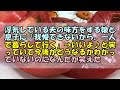 【スカッと】浮気している夫の味方をする娘と息子に「我慢できないから、一人で暮らして行く」→いいよ♪と笑っていて今後がどうなるかわかっていないのになんだか笑えた【痛快・スカッとジャパン！】
