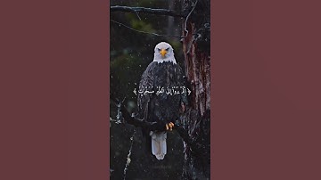 سورة النحل بصوت الشيخ ياسر الدوسري