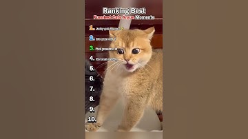 You Won