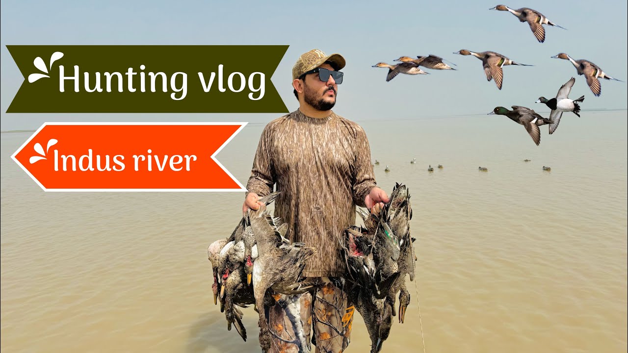 Hunting vlog indus river  