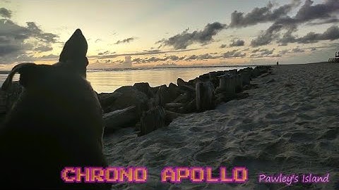 Chrono Apollo - Pawley