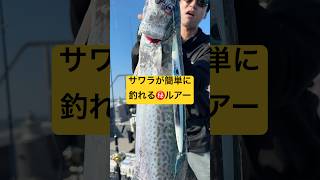 サワラが簡単に釣れる㊙️ルアー #shorts #short