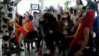 University of Ottawa - HARLEM SHAKE!!!! - Telfer School of Management