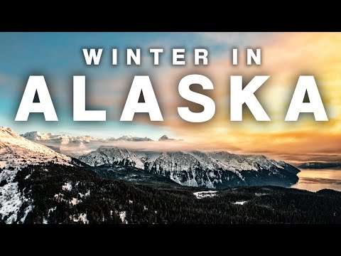 Video: Da dove vengono gli alaskani?