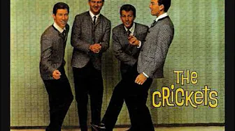 The Crickets......I'm Not a Bad Guy The Crickets......I'm Not a Bad Guy