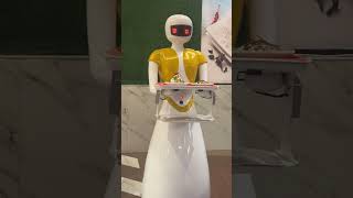 #bikaner #robot #tesla #chineserobot #india #primeminister #millionaire #army