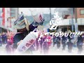 夢源風人 2025 『 TATTOBU!!!!! 』|第72回 よさこい祭り