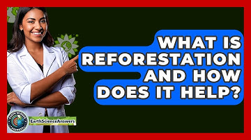 What Is Reforestation And How Does It Help? - Earth Science Answers