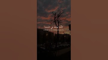 الراحه النفسيه _ القرآن الكريم _ آيات قصيره انستكرام _ حالات واتس اب _ #الشيخ_ماهر_المعيقلي