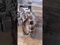 This Machine Changed Everything in Seconds…