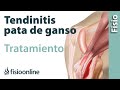 Tendinitis de la Pata de Ganso. Ejercicios, consejos y recomendaciones de un fisioterapeuta.