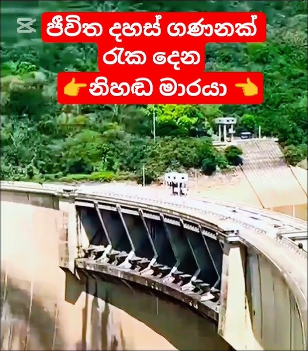 නිහඩ මාරයා👉 victoria dam👈#victoria #nature #foryou #forpages #srilanka